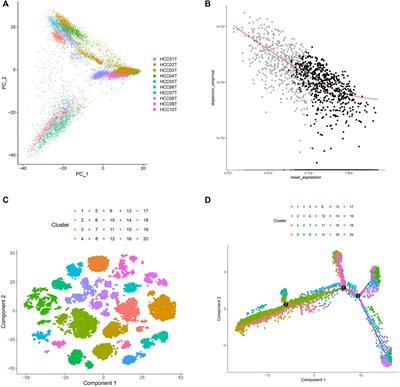 Identification and Characterization of Genes Related to the Prognosis of Hepatocellular Carcinoma Based on Single-Cell Sequencing